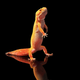 Illustration for article titled Kung fu Gecko will kick your ass first, ask questions later